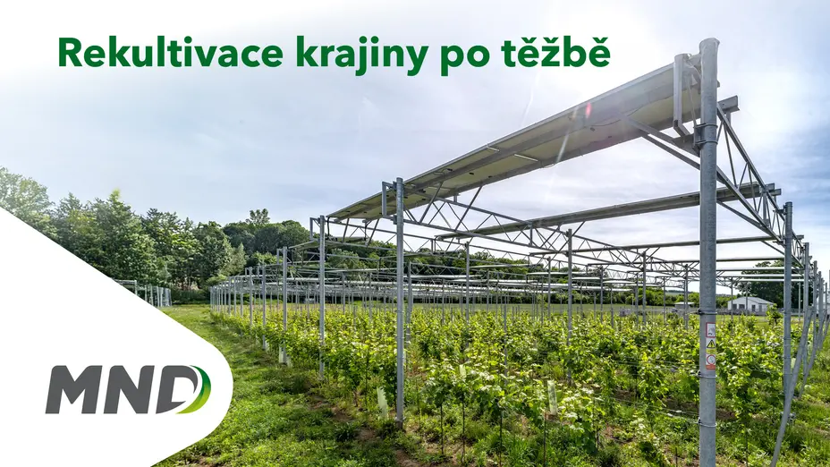 Solární panely instalované nad vinicí v areálu agrovoltaiky Poddvorov