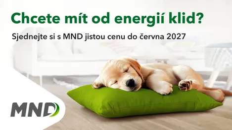 Pes na polštáři MND s nabídkou klidu od energií